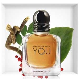Emporio-Armani-Stronger-With-YouMens-Fragrance